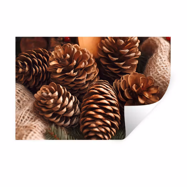 Dennenappels - Boom - Winter - Natuur - Bruin Muursticker klein -3d