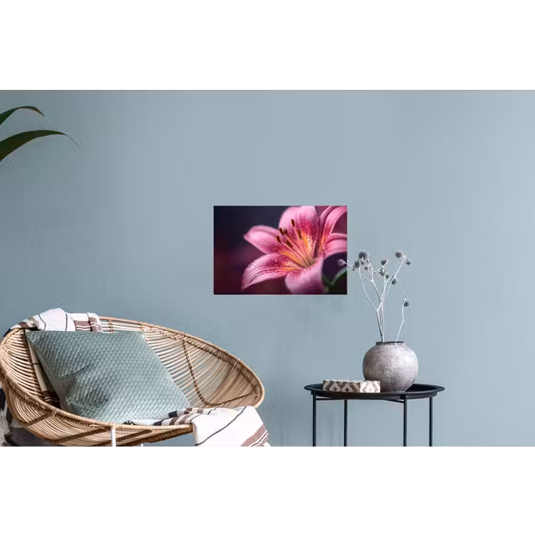 Roze - lelie - Dauwdruppels Muursticker klein -plant