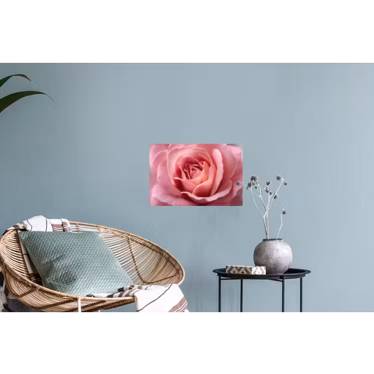 Roze - Roos - Romantisch Muursticker klein -plant