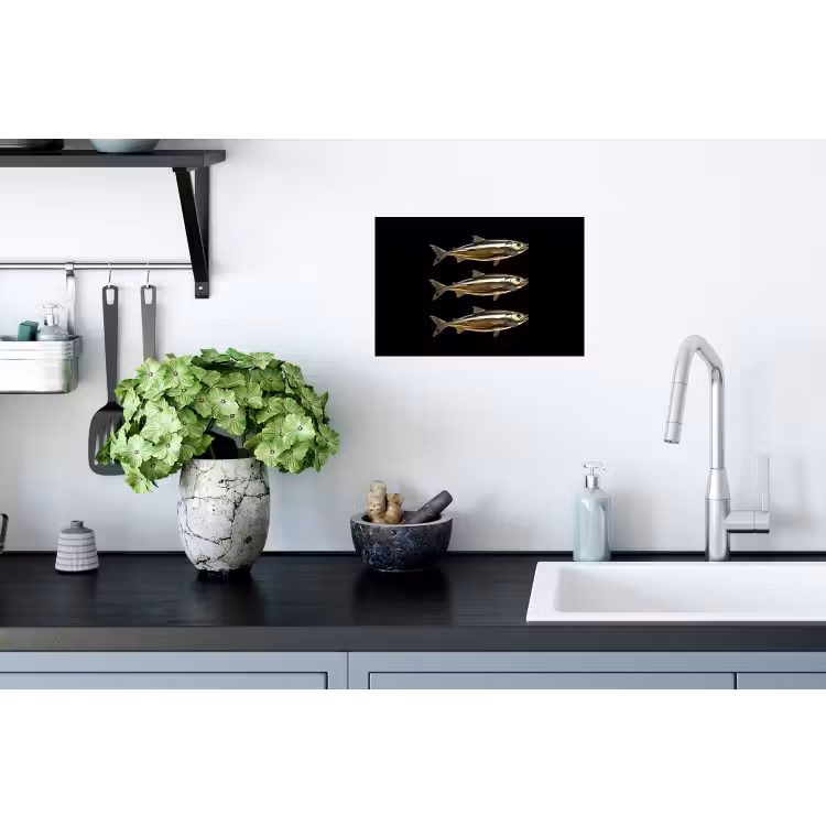 Vissen - Goud - Zwart Muursticker klein -keuken