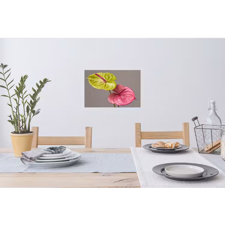 Planten - Anthurium - Groen - Roze Muursticker klein -eettafel