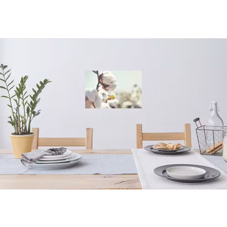 Katoenplanten in de natuur Muursticker klein -eettafel