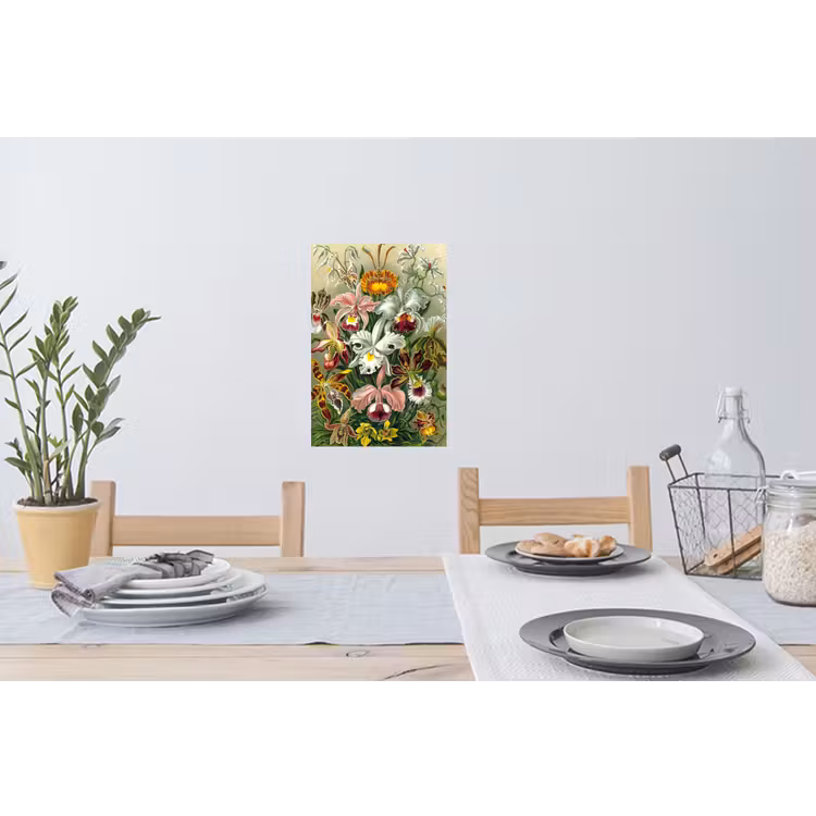 Planten - Natuur - Bloemen - Ernst Haeckel Muursticker klein -eettafel