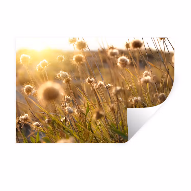 Planten - Natuur - Bloemen Muursticker klein -3d
