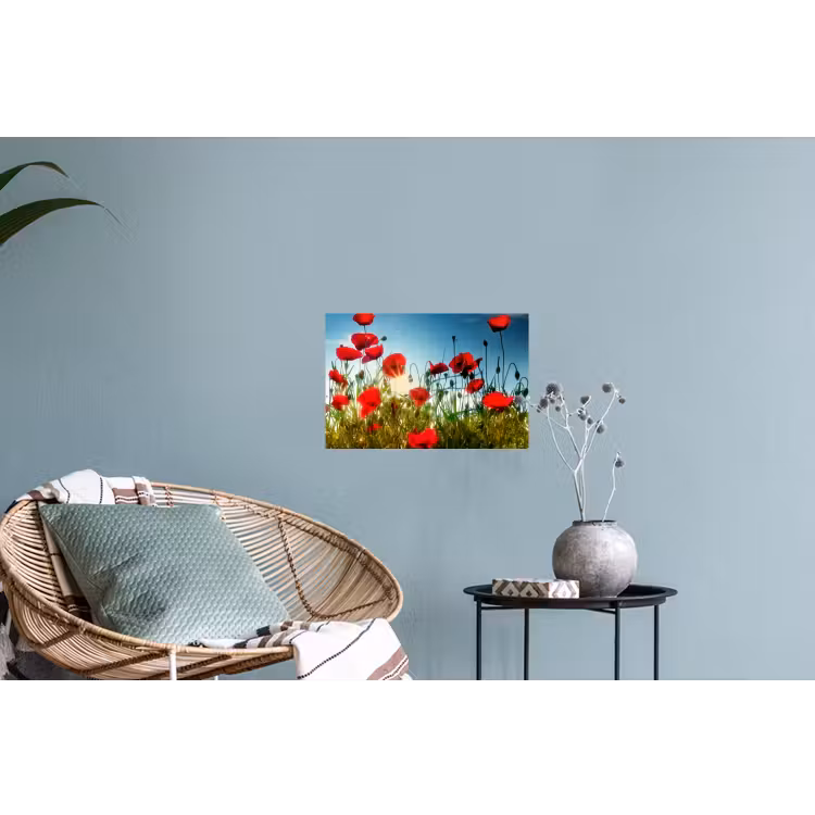 Klaprozen - Toscane - Zon - Rood - Blauw Muursticker klein -plant