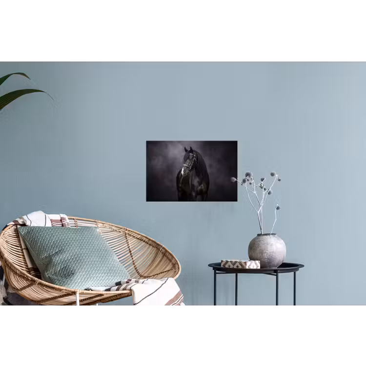 Portret - Paard - Zwart Muursticker klein -plant