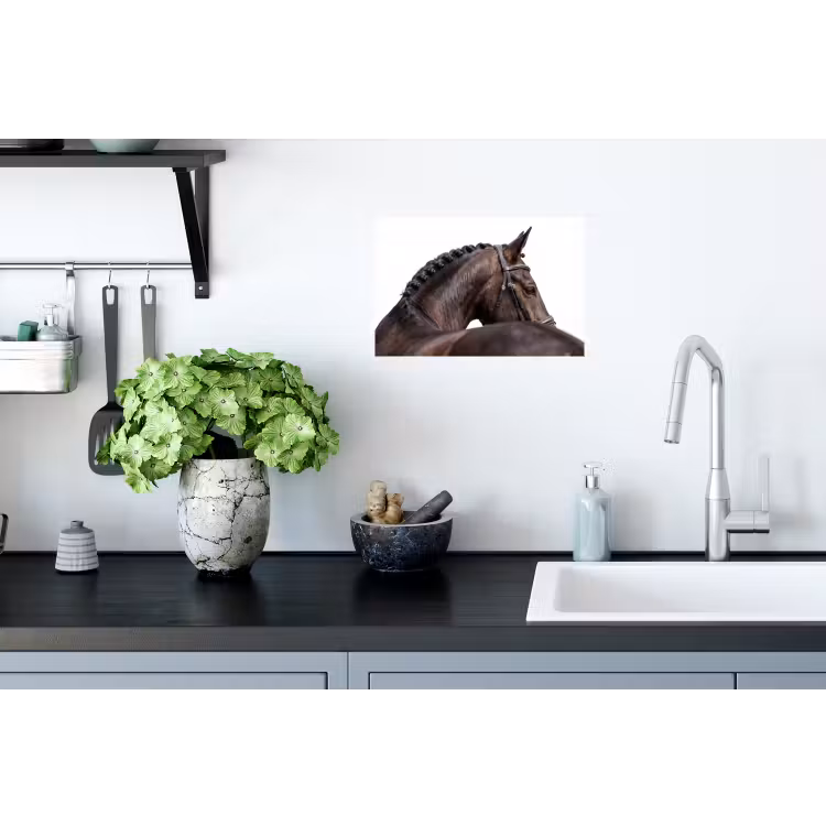 Portret - Paard - Elegant Muursticker klein -keuken