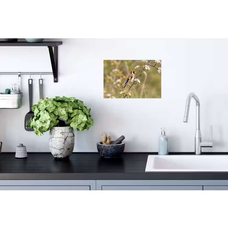 Putter - Bloesem - Lente - Natuur - Kleurrijk Muursticker klein -keuken