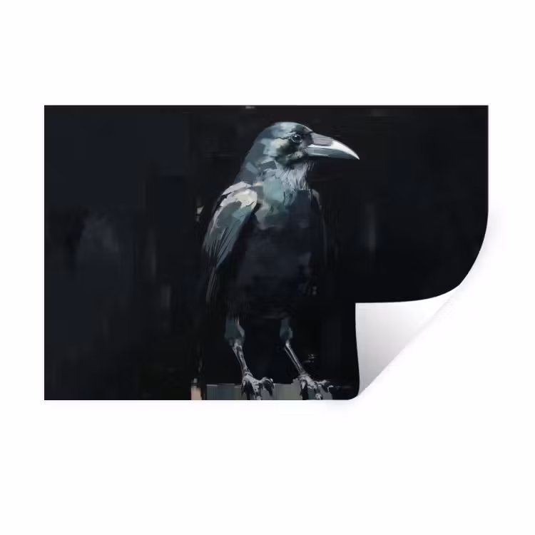 Raaf - Vogels - Zwart Muursticker klein -3d