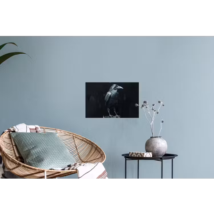 Raaf - Vogels - Zwart Muursticker klein -plant