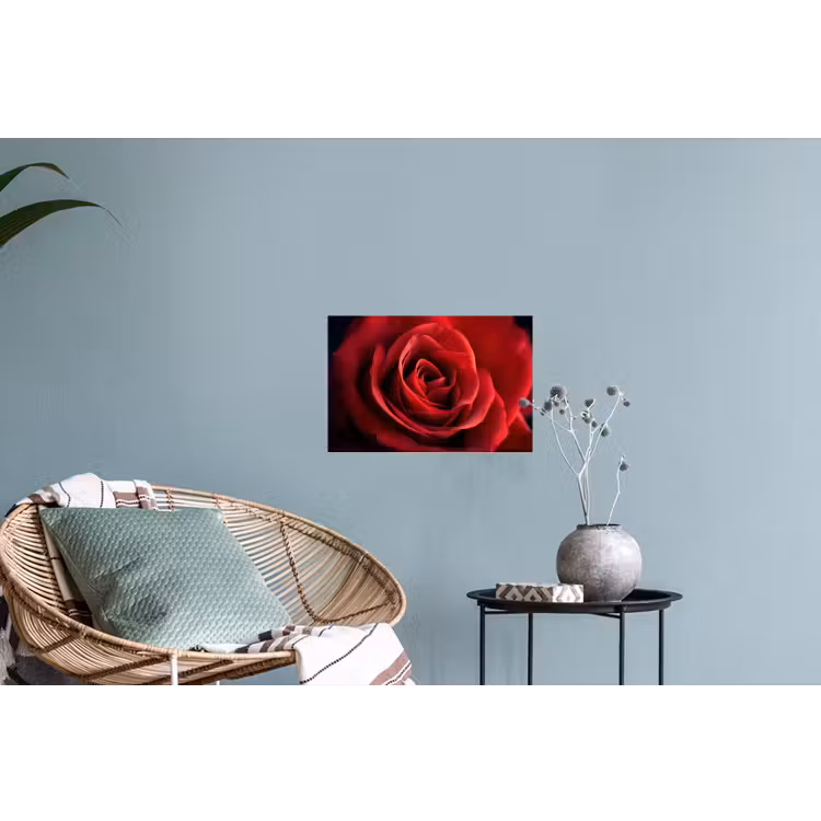 Rood - Roos - Romantisch Muursticker klein -plant