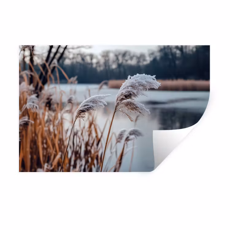 Riet - Gras - Natuur - Winter - Meer Muursticker klein -3d