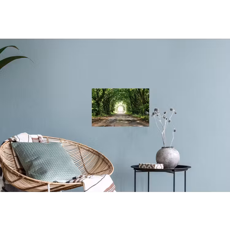 Weg - Bomen - Natuur - Groen Muursticker klein -plant