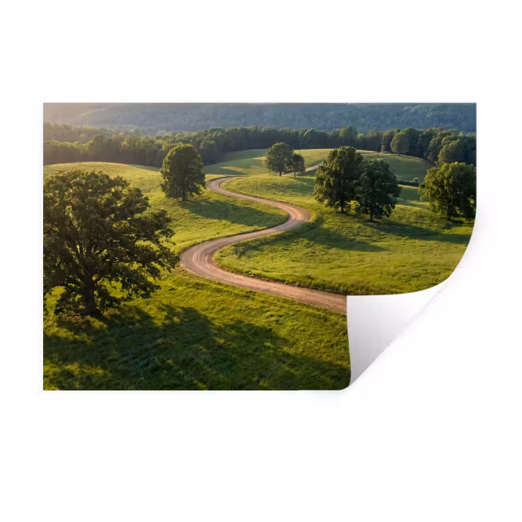 Weg - Weide - Natuur - Groen Muursticker klein -3d