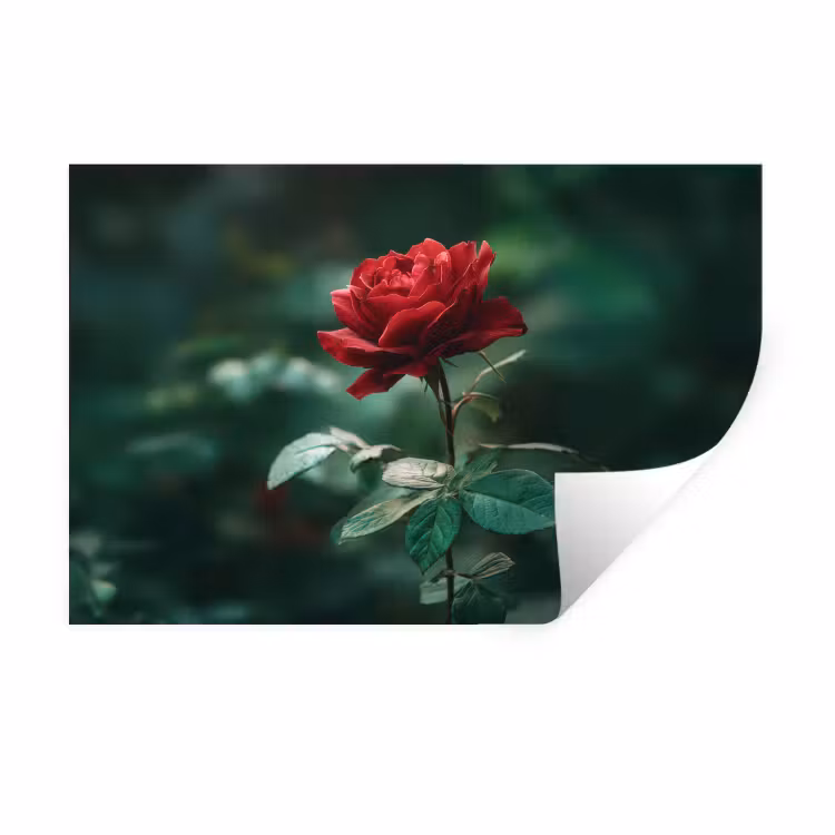 Roos - Bladeren - Dieprood Muursticker klein -3d
