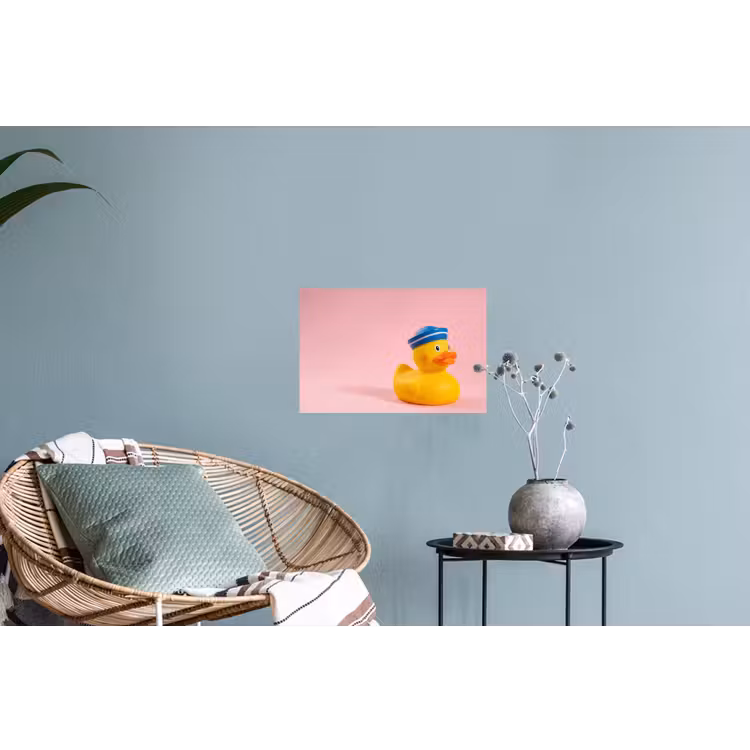 Matroos - Eend - Roze Muursticker klein -plant