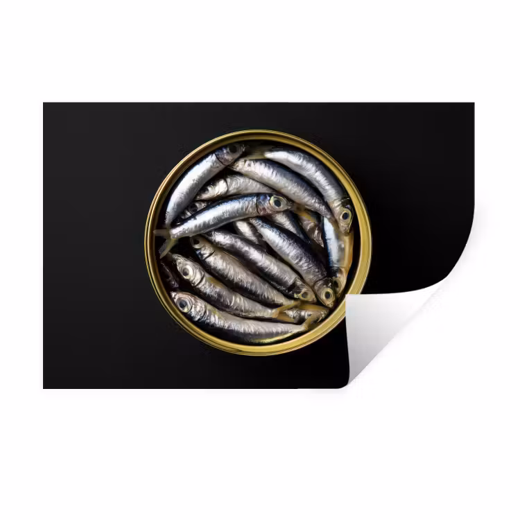 Sardines - Vissen - Rond - Zwart Muursticker klein -3d