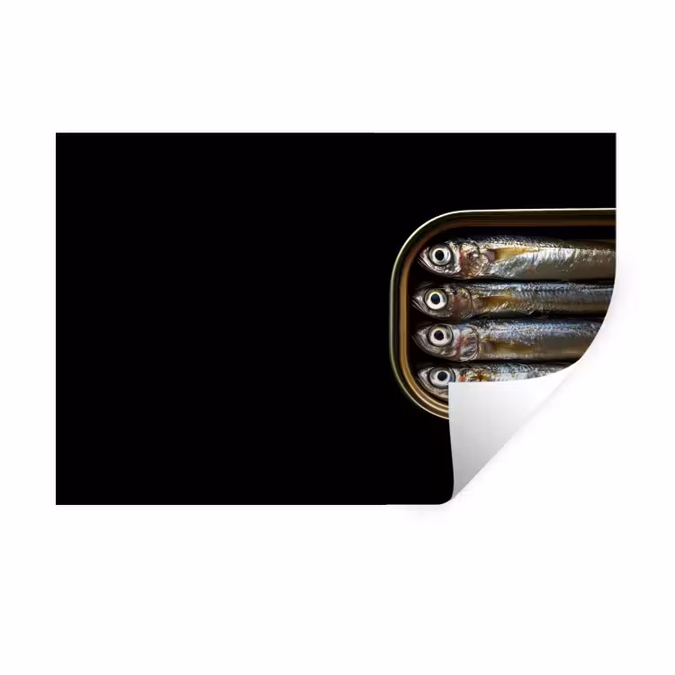 Sardines - Blik - Zwart - Vissen Muursticker klein -3d