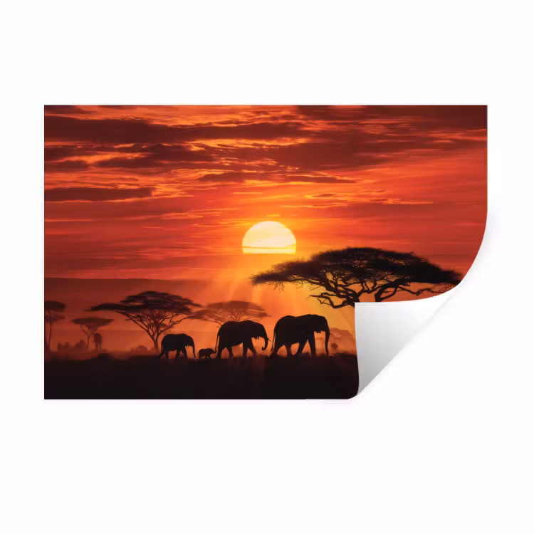 Savanne - Olifanten - Zonsondergang Muursticker klein -3d