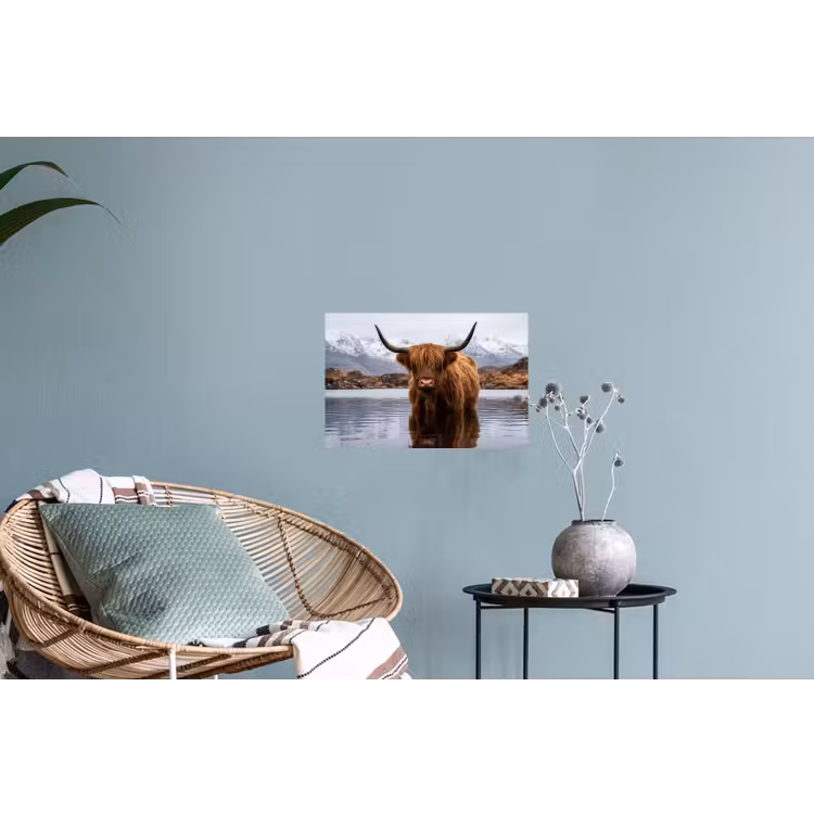 Schotse hooglander - Bruin - Water Muursticker klein -plant