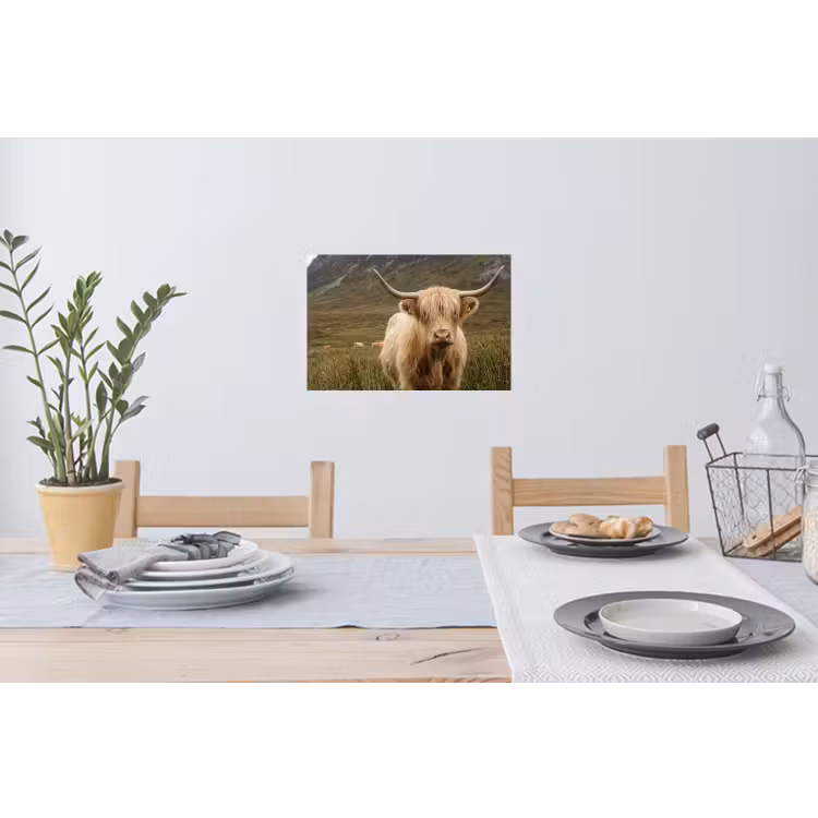 Schotse hooglander - Bergen - Grasveld Muursticker klein -eettafel