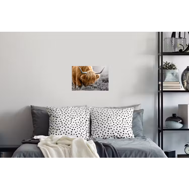 Schotse Hooglander - Dieren - Bruin - Koe - Zwart - Wit - Natuur Muursticker klein -slaapkamer