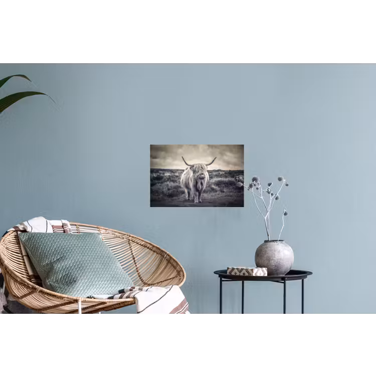 Schotse hooglander - Dieren - Wolken - Koe - Natuur Muursticker klein -plant