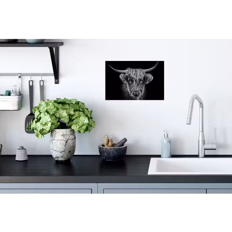 Schotse hooglander - Zwart - Koe - Dieren Muursticker klein -keuken