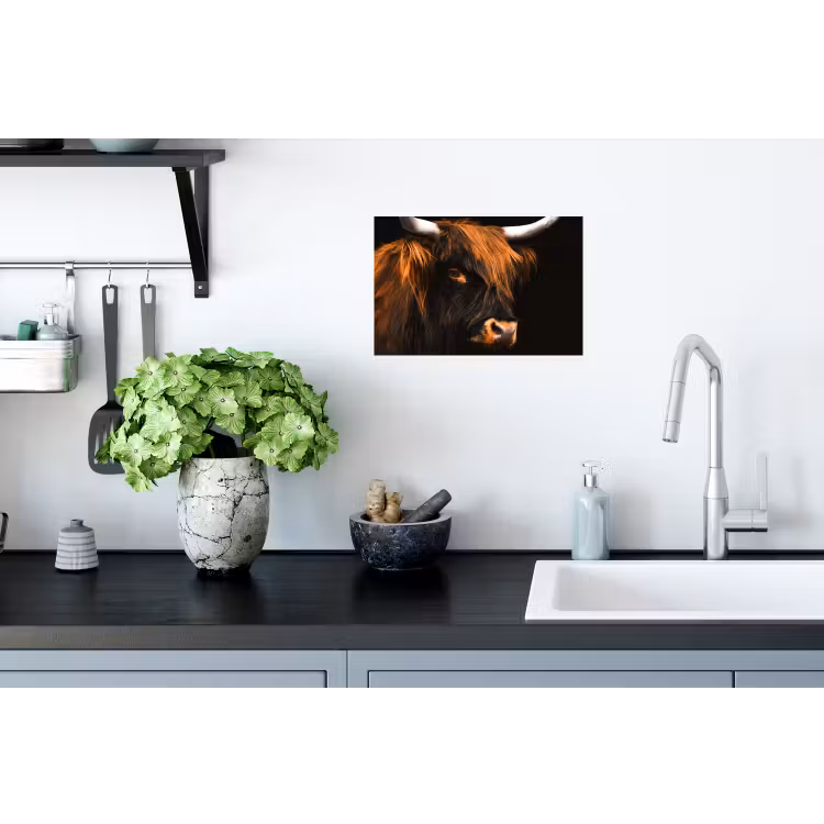 Schotse hooglander - Zwart - Koe - Hoorn - Dieren Muursticker klein -keuken