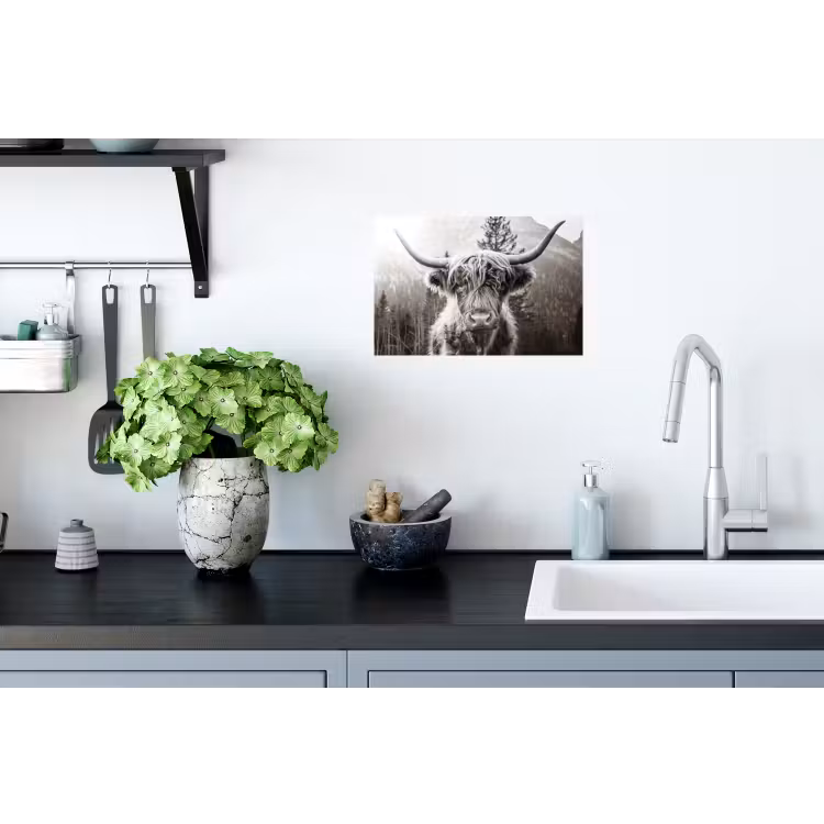 Schotse hooglander - Koe - Dieren - Zwart - Wit Muursticker klein -keuken