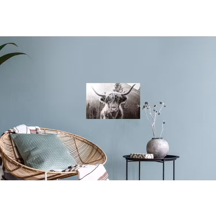 Schotse hooglander - Koe - Dieren - Zwart - Wit Muursticker klein -plant