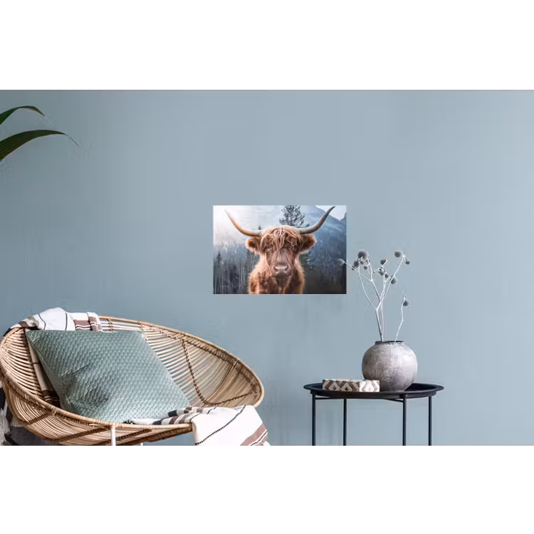 Schotse hooglander - Koe - Dieren - Berg - Natuur Muursticker klein -plant