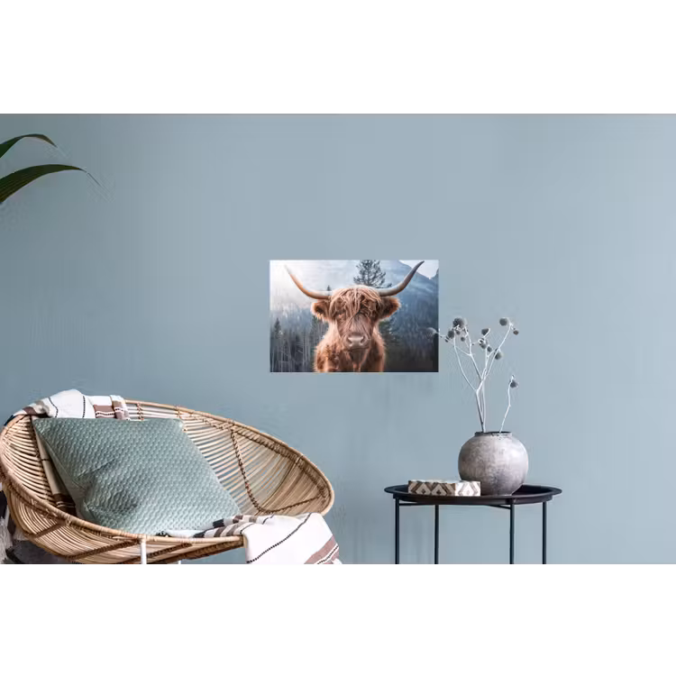 Schotse hooglander - Koe - Dieren - Berg - Natuur Muursticker klein -plant