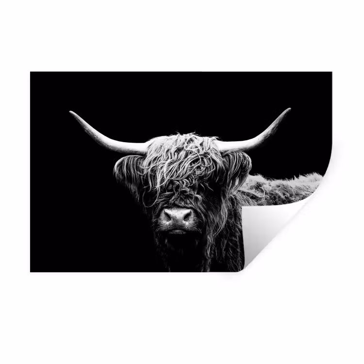 Schotse Hooglander - Koe - Zwart - Wit - Dieren Muursticker klein -3d