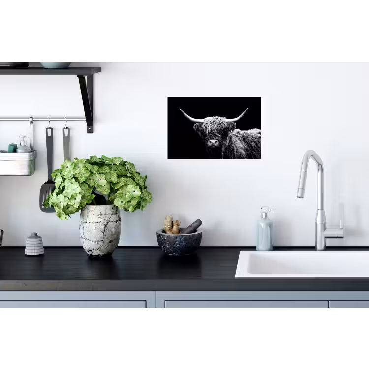 Schotse Hooglander - Koe - Zwart - Wit - Dieren Muursticker klein -keuken