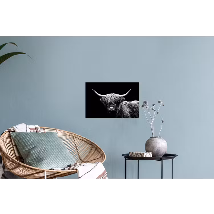 Schotse Hooglander - Koe - Zwart - Wit - Dieren Muursticker klein -plant