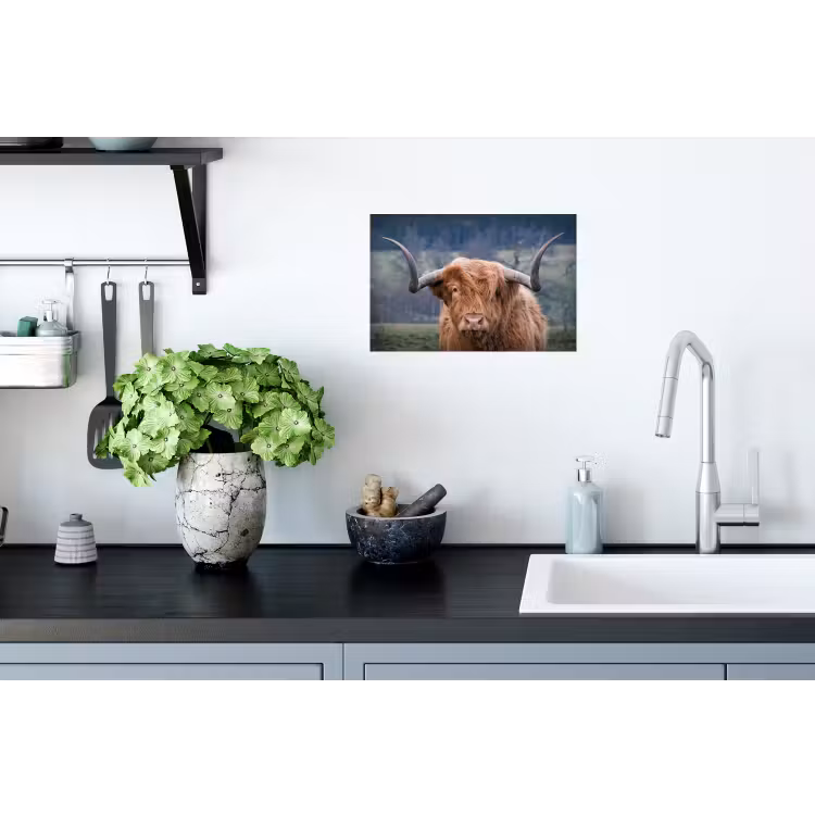 Schotse Hooglander - Koeienkop - Landschap - Natuur - Koe Muursticker klein -keuken