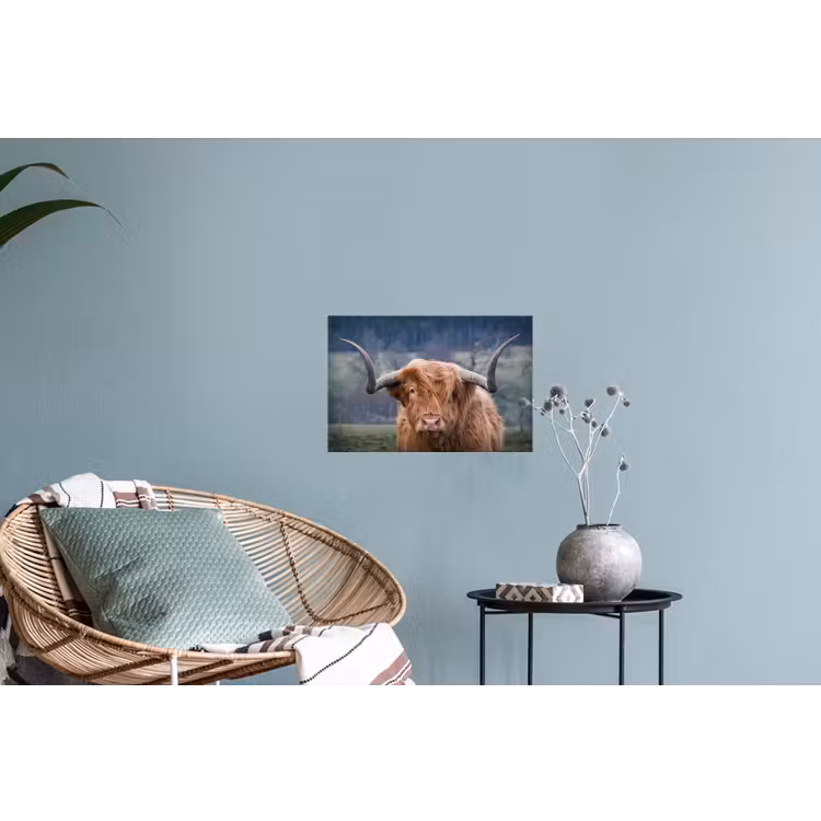 Schotse Hooglander - Koeienkop - Landschap - Natuur - Koe Muursticker klein -plant