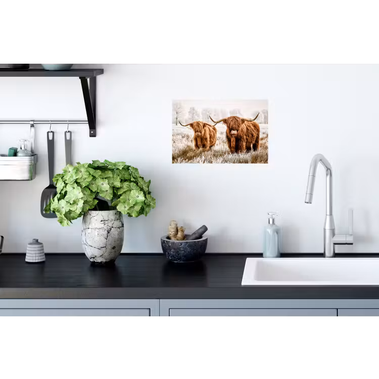 Schotse hooglander - Koe - Dieren - Natuur - Heide Muursticker klein -keuken