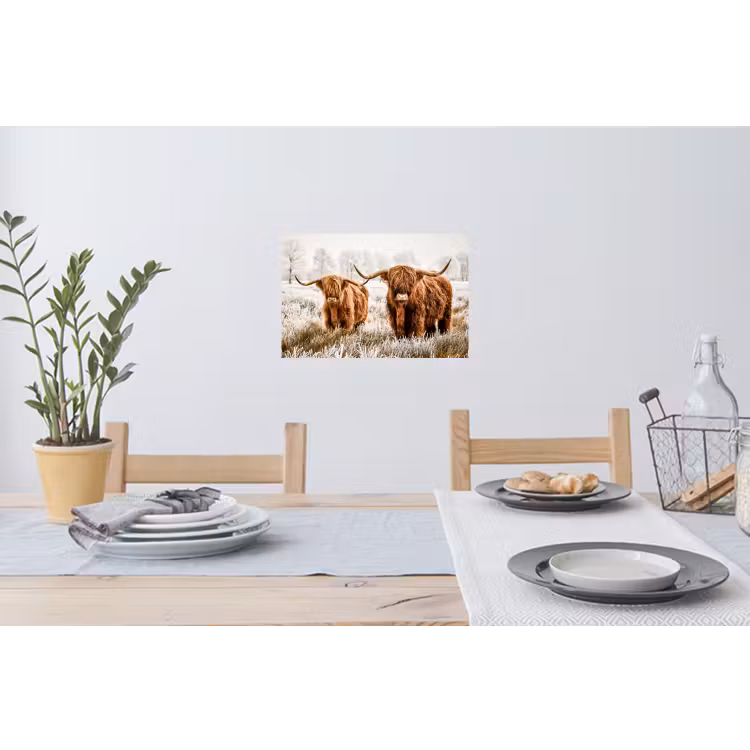 Schotse hooglander - Koe - Dieren - Natuur - Heide Muursticker klein -eettafel