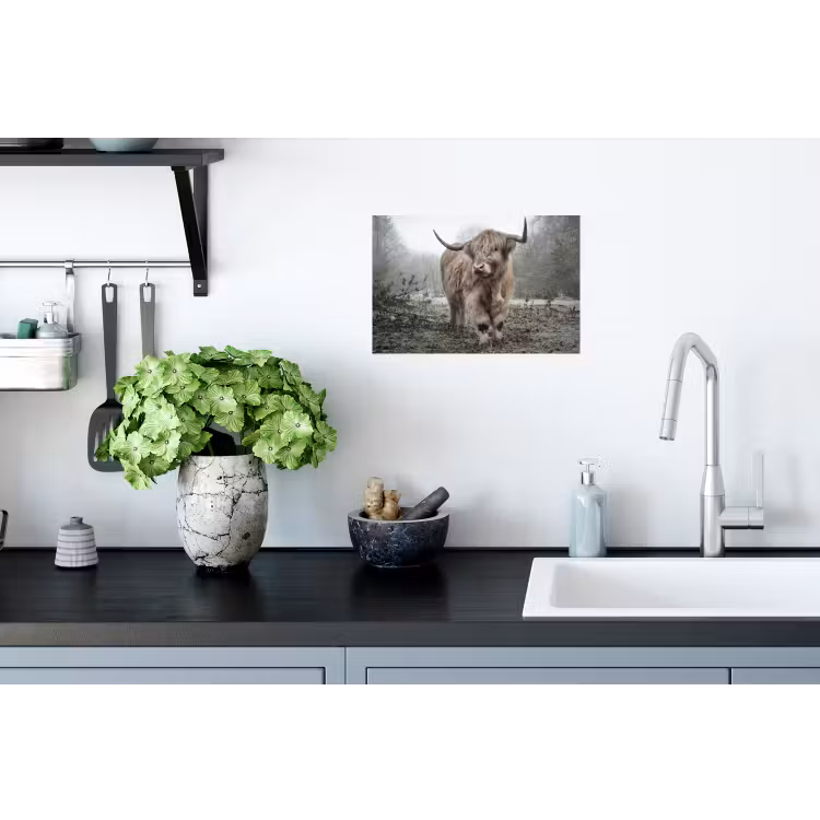 Schotse Hooglander - Bos - Mist - Koe - Dieren - Natuur Muursticker klein -keuken