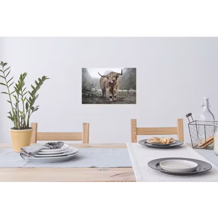 Schotse Hooglander - Bos - Mist - Koe - Dieren - Natuur Muursticker klein -eettafel