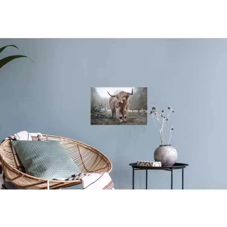 Schotse Hooglander - Bos - Mist - Koe - Dieren - Natuur Muursticker klein -plant