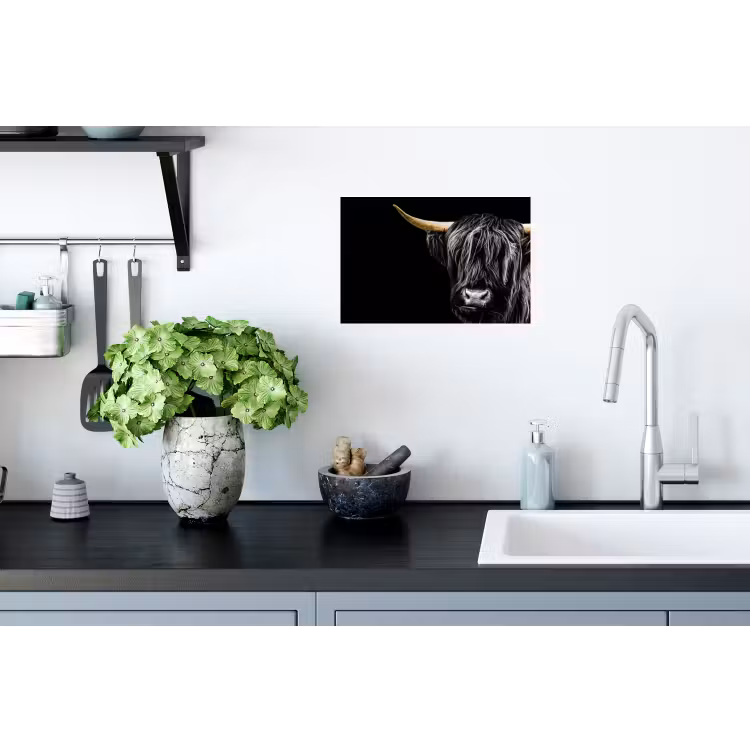 Schotse hooglander - Goud - Vacht - Dieren - Koe Muursticker klein -keuken