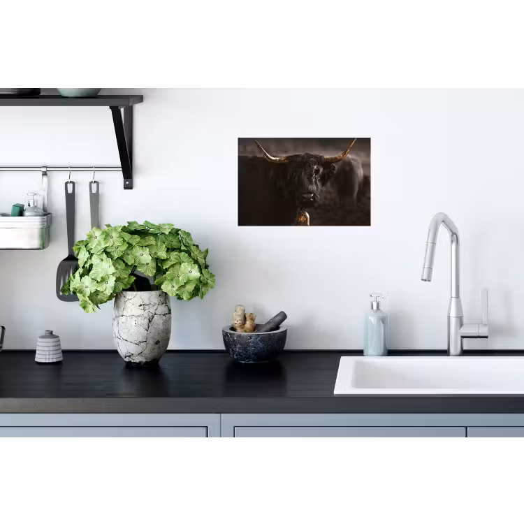Schotse hooglander - Goud - Koebel - Hoorns - Dieren Muursticker klein -keuken