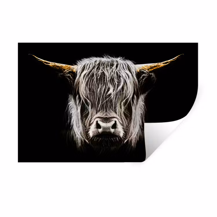 Schotse hooglander - Goud - Hoorns - Zwart wit - Koe - Dieren Muursticker klein -3d