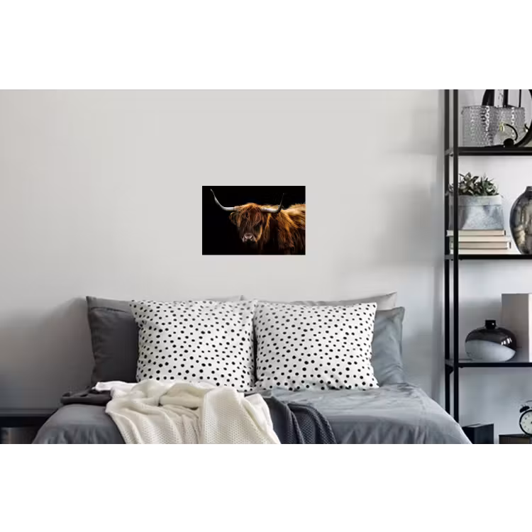 Schotse Hooglander - Horens - Zwart - Dieren - Natuur - Wild - Koe Muursticker klein -slaapkamer