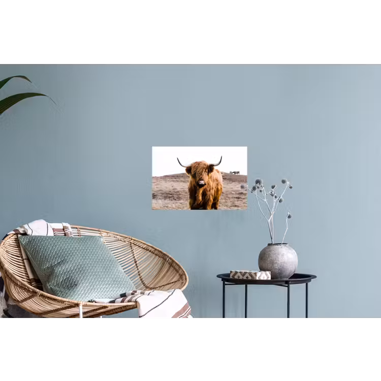 Schotse hooglander - Landschap - Koe - Bruin - Dieren - Natuur Muursticker klein -plant
