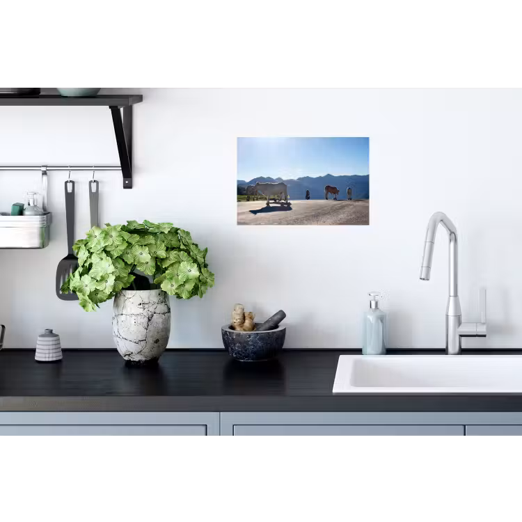 Schotse hooglander - Licht - Berg - Natuur Muursticker klein -keuken
