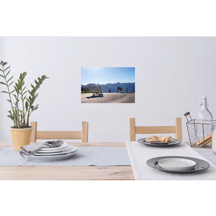 Schotse hooglander - Licht - Berg - Natuur Muursticker klein -eettafel